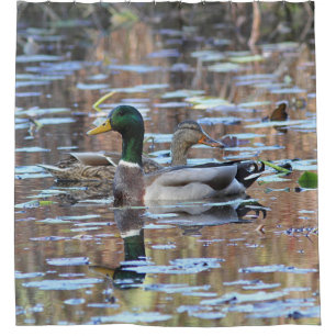 Mallard duck pair shower curtain