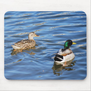 Mallard Duck Pairs Symbolise Love and Commitment Mouse Mat