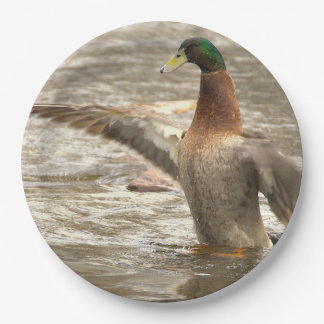 Mallard Duck Paper Plates