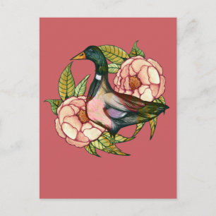 Mallard Duck Peony Nature Lovers Postcard