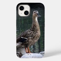 Mallard Duck Phone Case