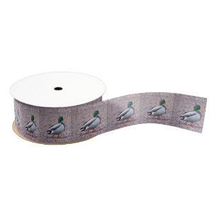 Mallard Duck Photo Grosgrain Ribbon