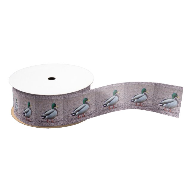Mallard Duck Photo Grosgrain Ribbon (Spool)