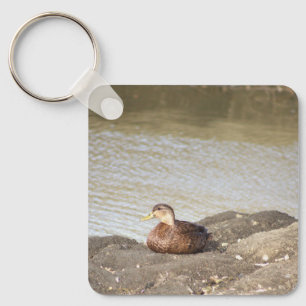 Mallard Duck Photo Keychain 