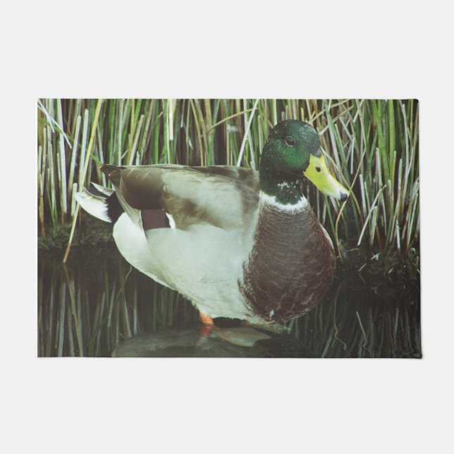 Mallard Duck Photo Lake Wildlife Nature Bird Doormat (Front)