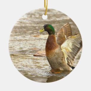 Mallard Duck Photo Ornament 