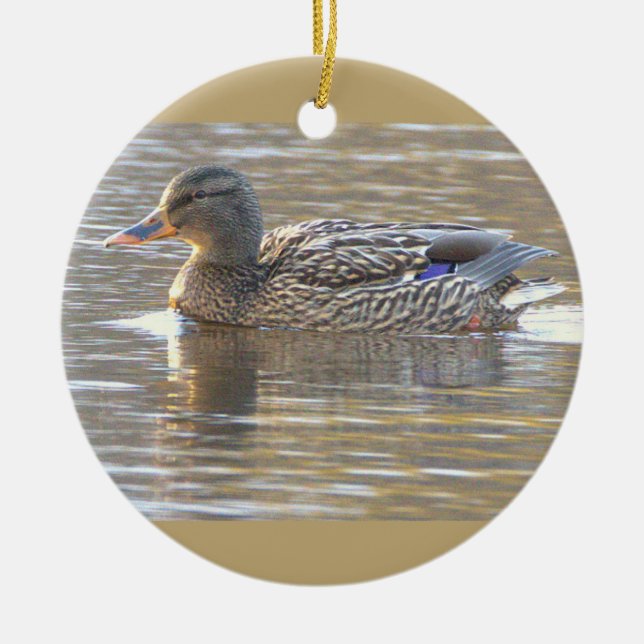 Mallard Duck Photo Ornament  (Front)