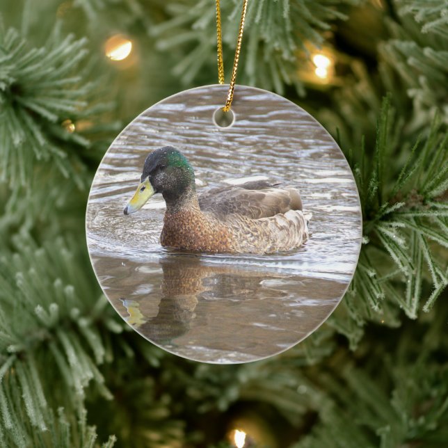 Mallard Duck Photo Ornament (Tree)