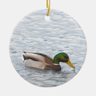Mallard Duck Photo Ornament 