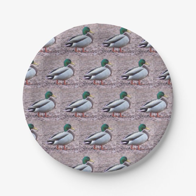 Mallard Duck Photo Paper Plate (Front)