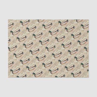 Mallard Duck Photo Tissue Paper