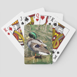 Mallard Duck Playing Cards