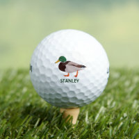 Mallard Duck Realistic Illustration Personalised