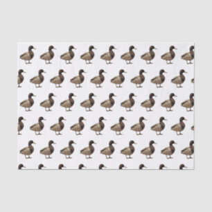 Mallard Duck Sepia Tone Tissue Paper