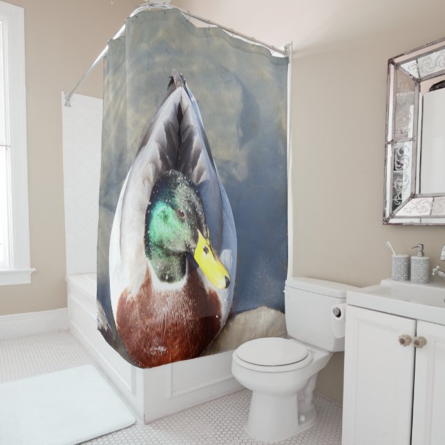 Mallard Duck Shower Curtain (In Situ)