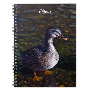 Mallard Duck Spiral notebook