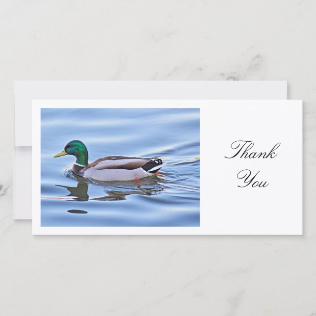 Mallard Duck - Thank You (Front)