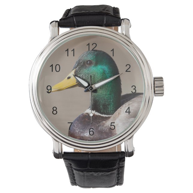 Mallard duck watch (Front)