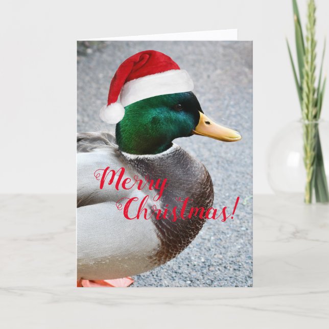 Mallard Duck Wearing Red Santa Hat Holiday Card (Front)