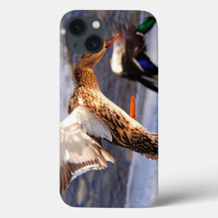 Mallard Duck Wildlife Photo for Bird-lovers iPhone 13 Case