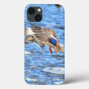 Mallard Duck Wildlife Photo for Bird-lovers iPhone 13 Case