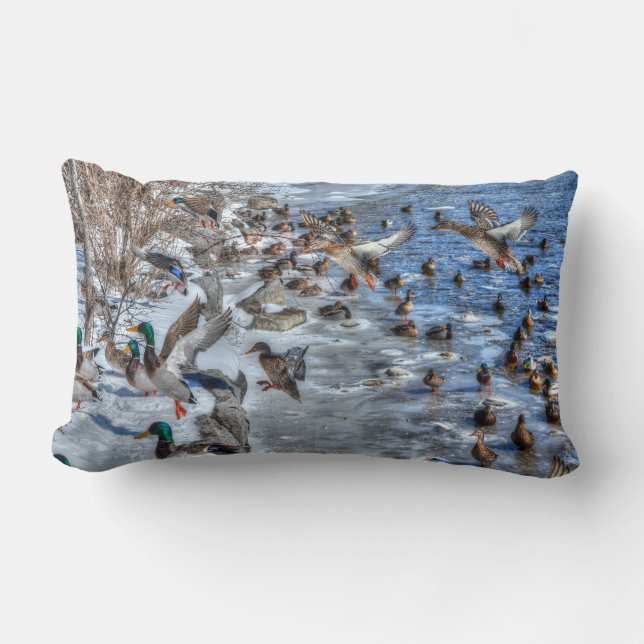 Mallard Duck Wildlife Photo for Bird-lovers Lumbar Cushion (Front)