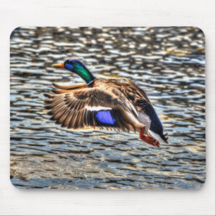 Mallard Duck Wildlife Photo for Bird-lovers Mouse Mat
