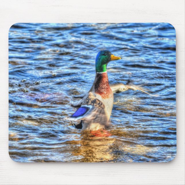 Mallard Duck Wildlife Photo for Bird-lovers Mouse Mat (Front)