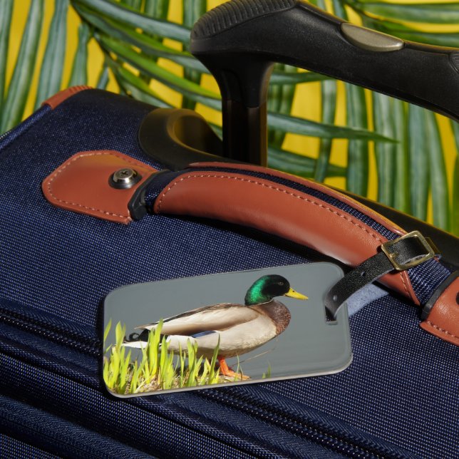 Mallard Duck Wildlife Photo Luggage Tag (Front Insitu 3)
