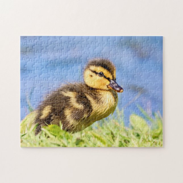 Mallard Duckling Jigsaw Puzzle (Horizontal)