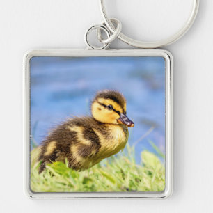 Mallard Duckling Key Ring