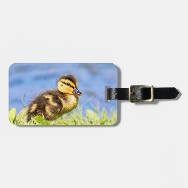 Mallard Duckling Luggage Tag (Front Horizontal)