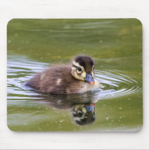 Mallard Duckling Mouse Mat