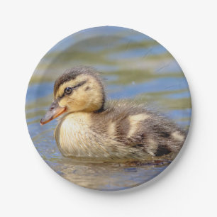 Mallard Duckling Paper Plate