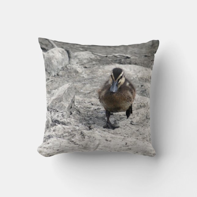 Mallard Duckling Photo Cushion (Front)