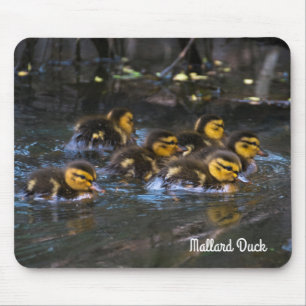 Mallard Ducklings Mouse Mat