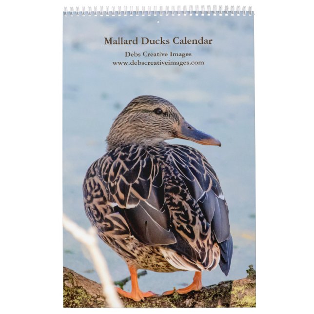 Mallard Ducks 2026 Calendar (Cover)
