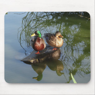 Mallard Ducks #2 Mouse Pad