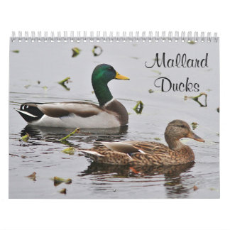 Mallard ducks calendar