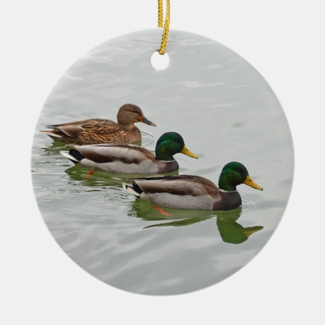 Mallard ducks christmas ornament (Front)