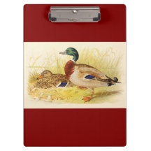 Mallard Ducks Clipboard