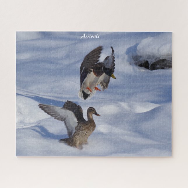 Mallard Ducks Departures Jigsaw Puzzle (Horizontal)