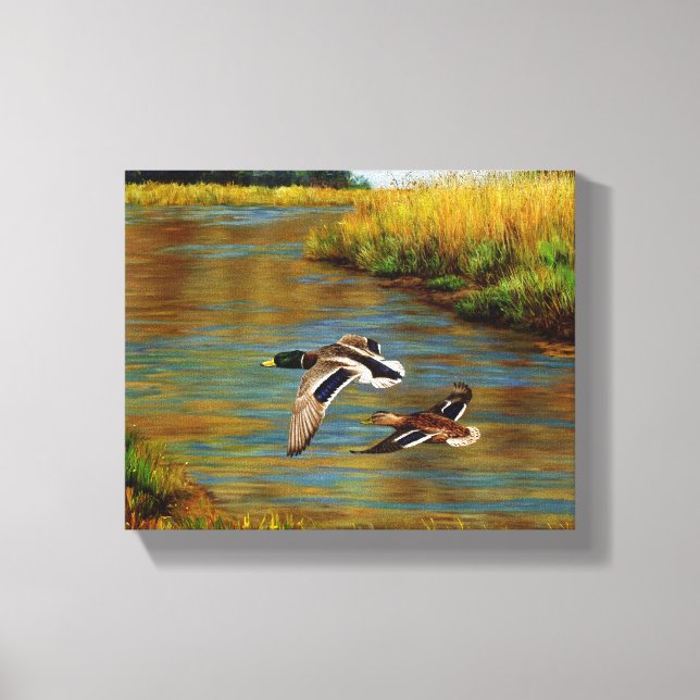 Mallard Ducks Flying Over Pond Canvas Print (Front)