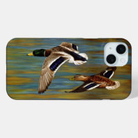 Mallard Ducks Flying Over Pond