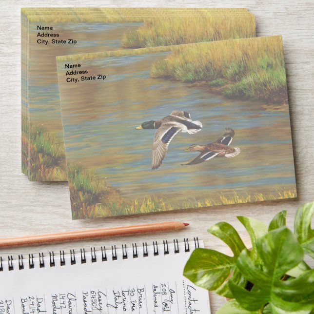 Mallard Ducks Flying Over Pond Envelope (Stacked)