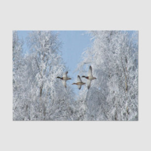 Mallard Ducks Flying Snow Photo Tissue Paper