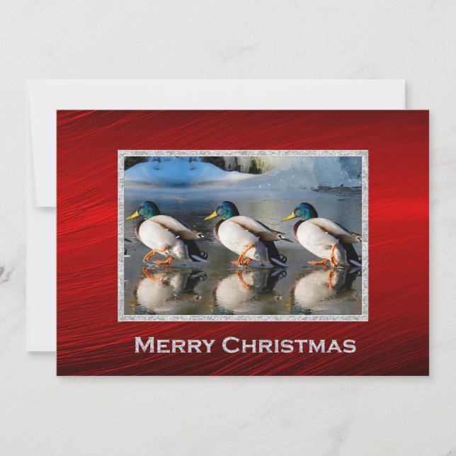 Mallard Ducks Ice Photo Christmas Flat Holiday Card (Front)