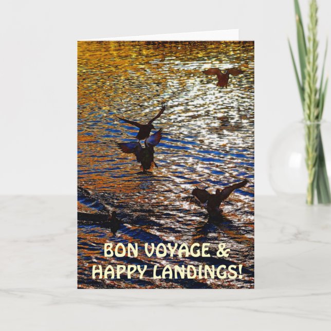 MALLARD DUCKS Landing Traveller Photo Greeting Card (Front)