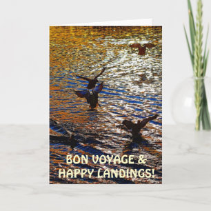 MALLARD DUCKS Landing Traveller Photo Greeting Card