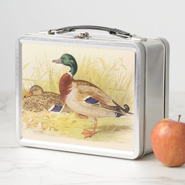 Mallard Ducks Metal Lunchbox (In Situ)